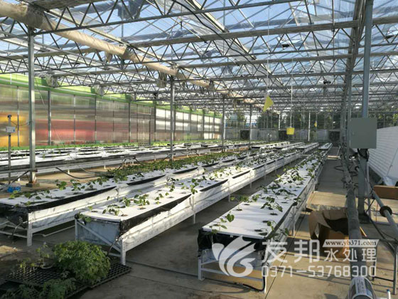 无土栽培设备 /></p>
<p style=